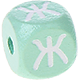 Cubos em verde menta com letras em relevo, de 10 mm – Russo : Ж